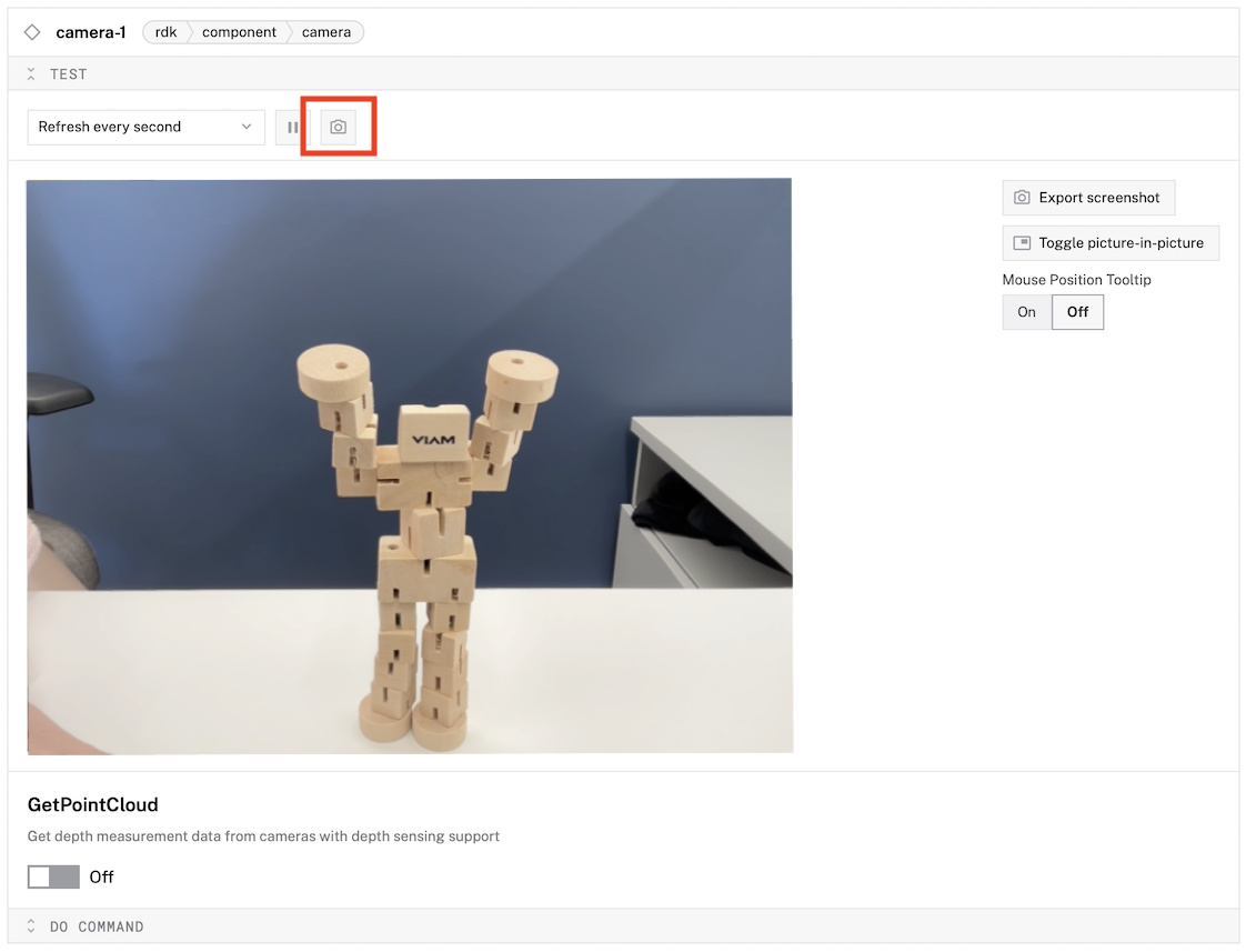 A button marked with the outline of a camera, emphasized in red
